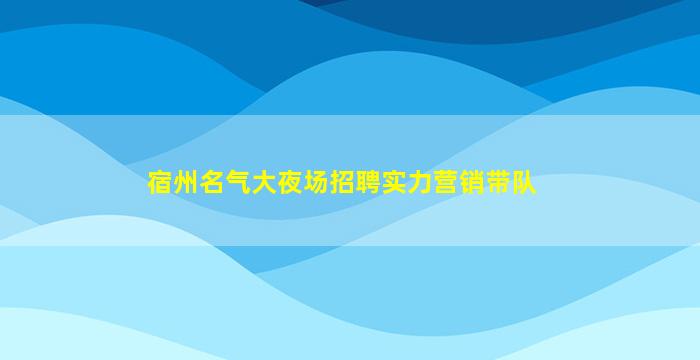 宿州名气大夜场招聘实力营销带队